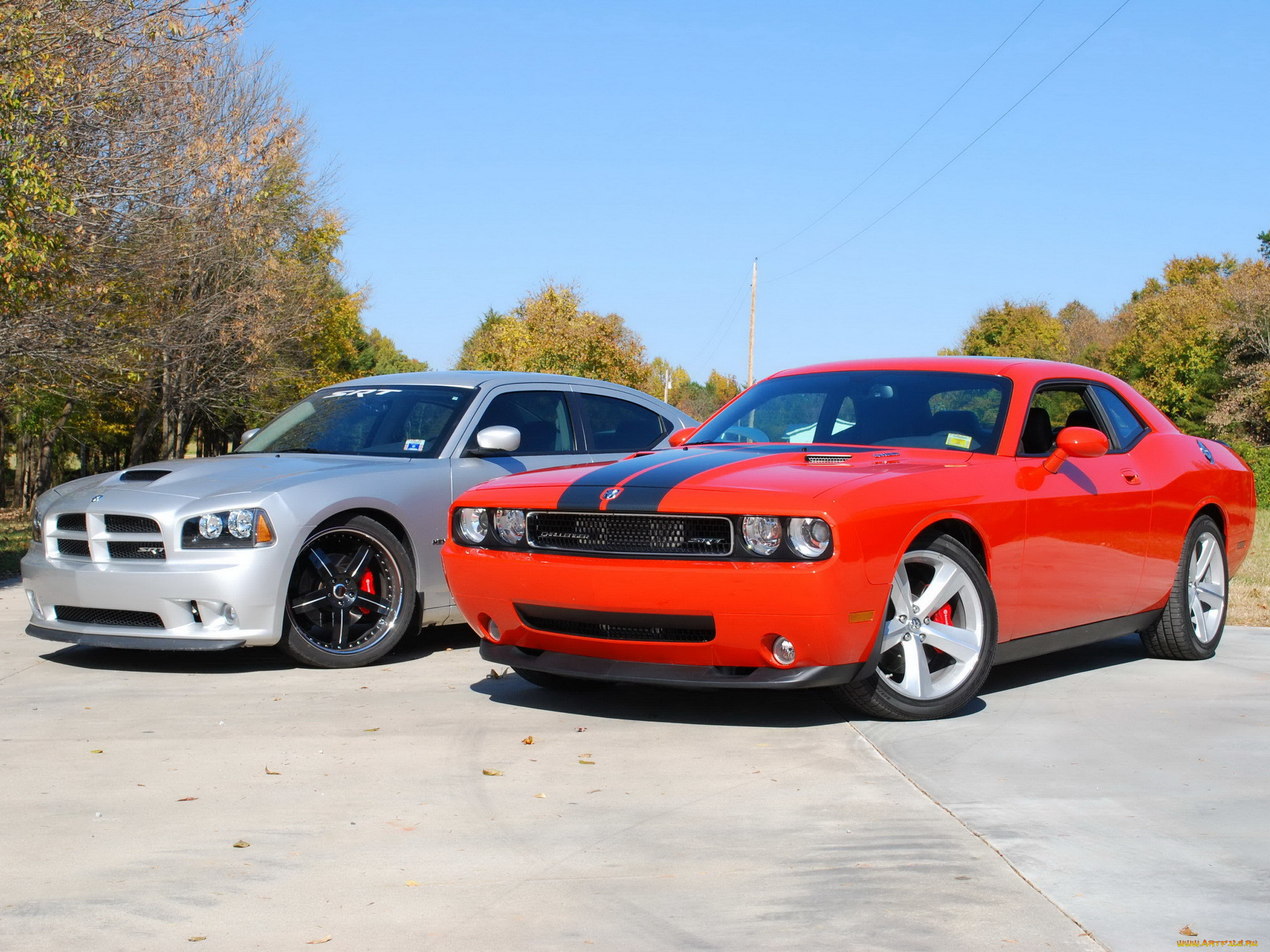 , dodge